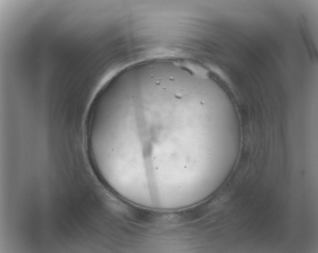 X0000063521467200602032057