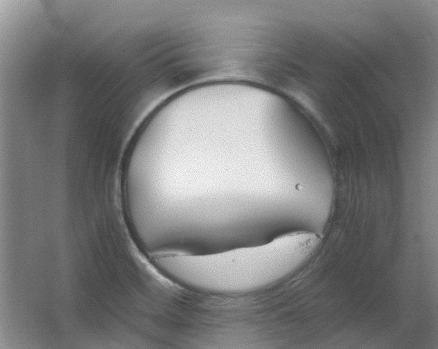 X0000063521468200602032057