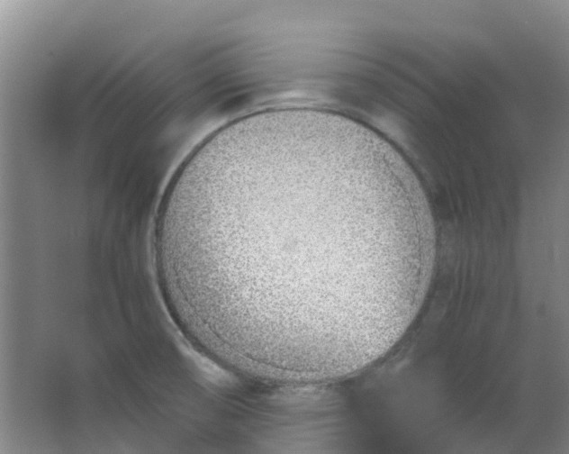 X0000063521474200602032057