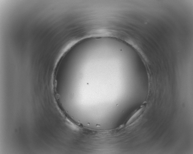 X0000063521477200602032057