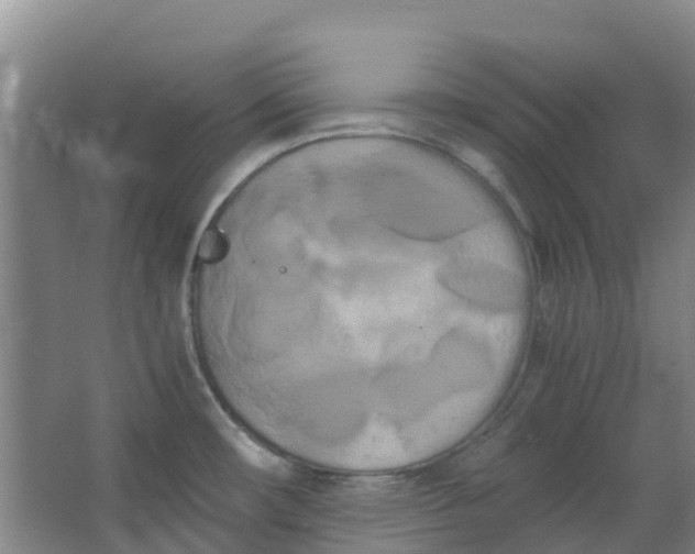 X0000063521482200602032057