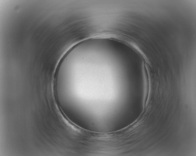 X0000063521484200602032057