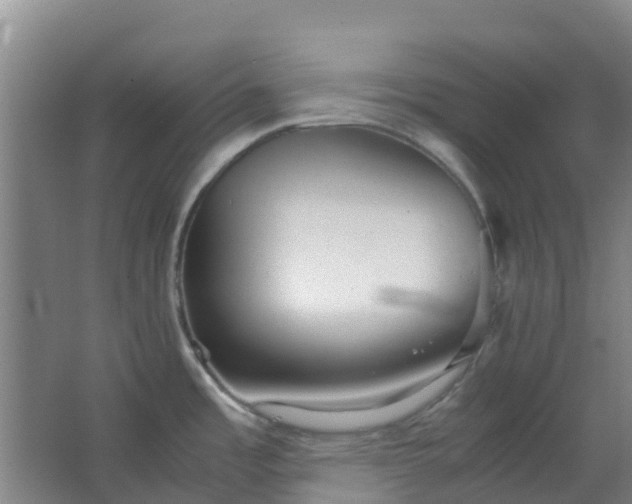 X0000063521485200602032057