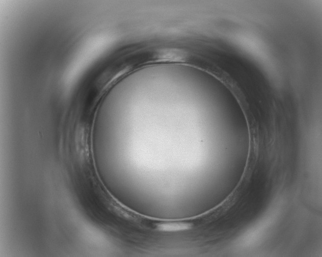 X0000063521487200602032057