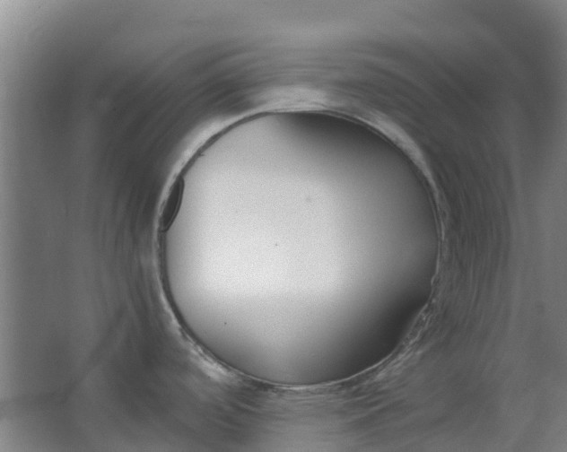 X0000063521488200602032057