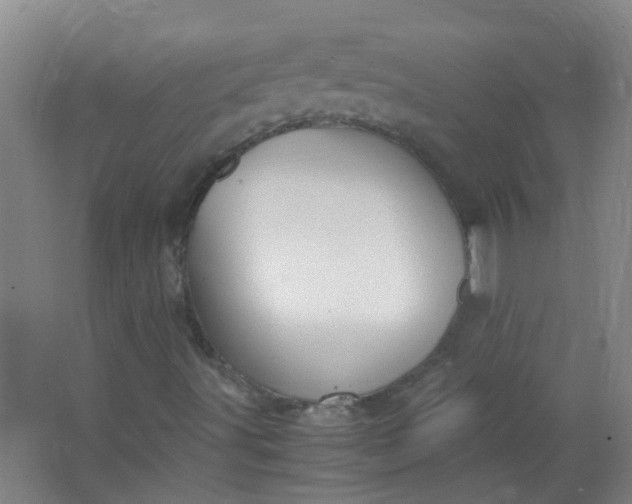 X0000063521491200602032056