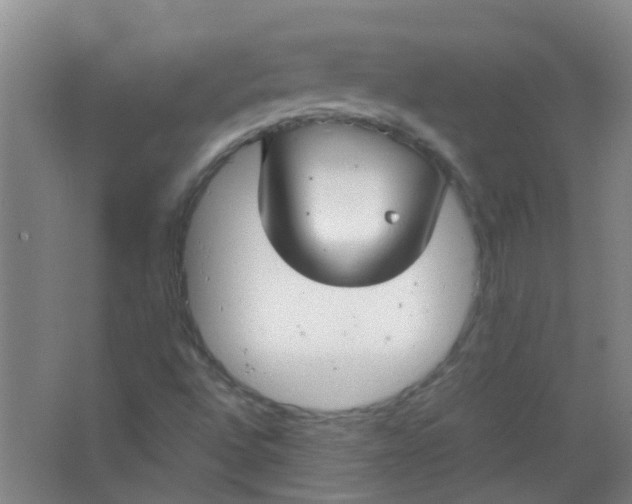 X0000063521496200602032056