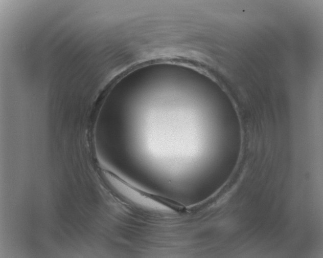 X0000063521497200602032056