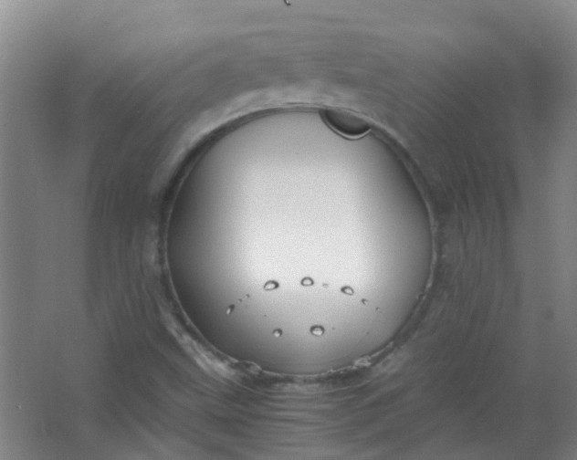 X0000063521499200602032056