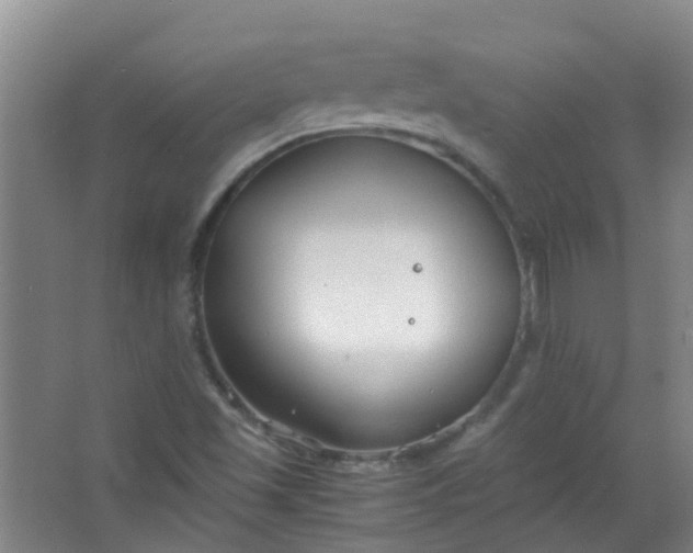 X0000063521501200602032056