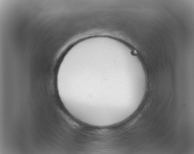 X0000063521502200602032056