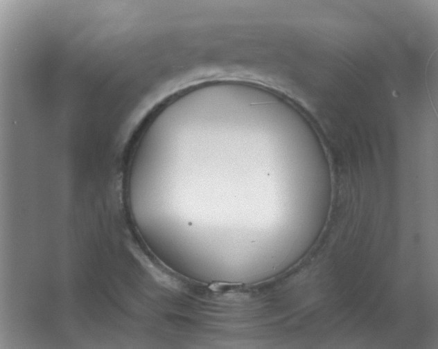 X0000063521503200602032056