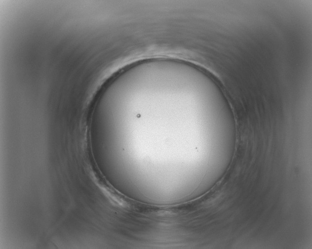 X0000063521507200602032056