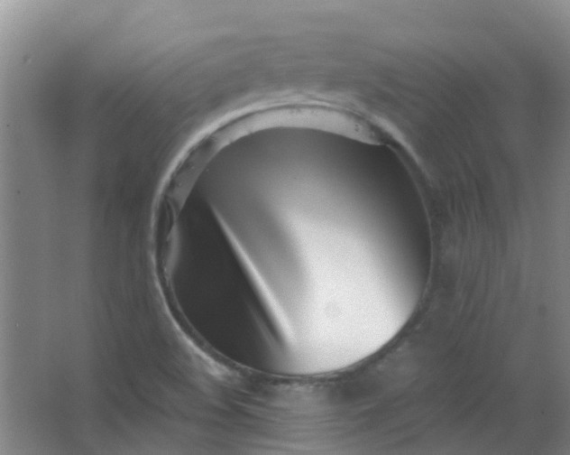 X0000063521508200602032056