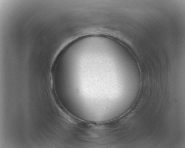 X0000063521509200602032056