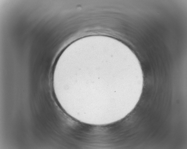 X0000063521514200602032056