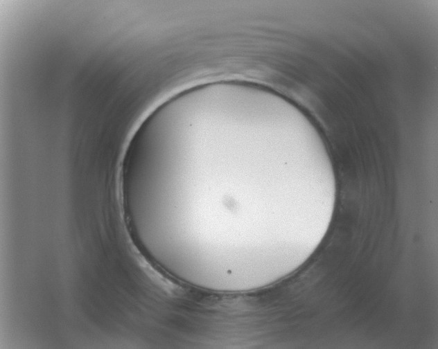 X0000063521516200602032056