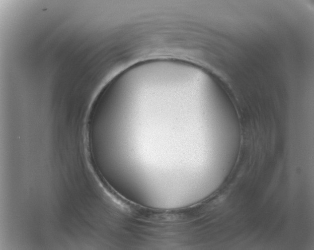 X0000063521517200602032056