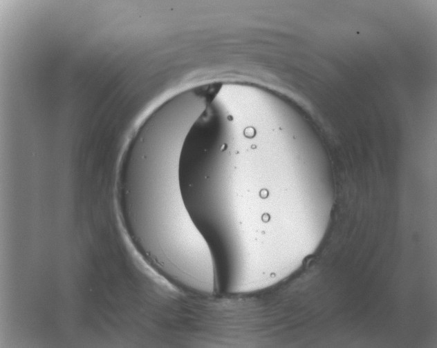 X0000063521518200602032056