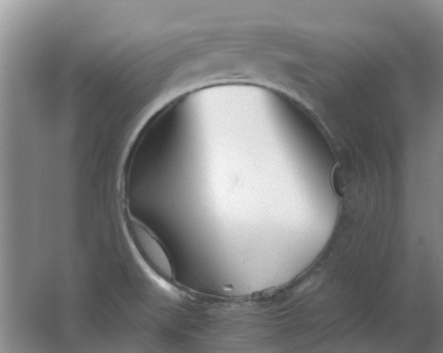 X0000063521519200602032056