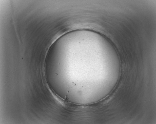 X0000063521521200602032057