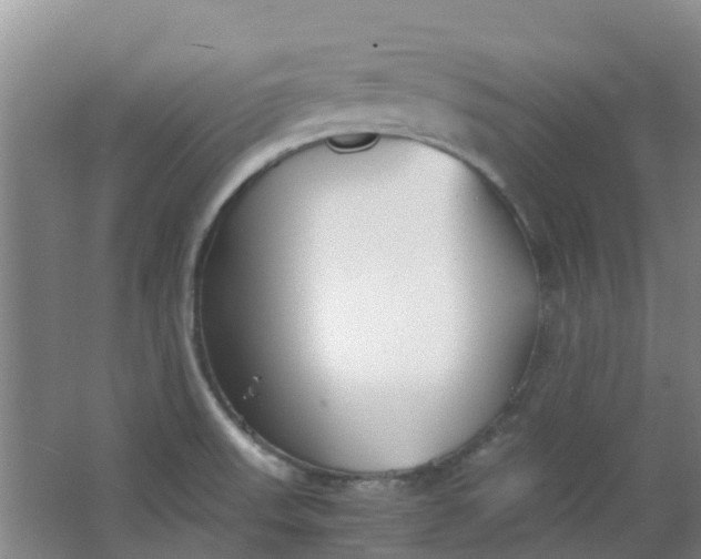 X0000063521523200602032057