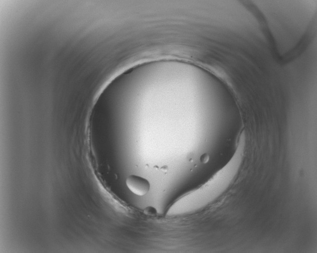 X0000063521524200602032057