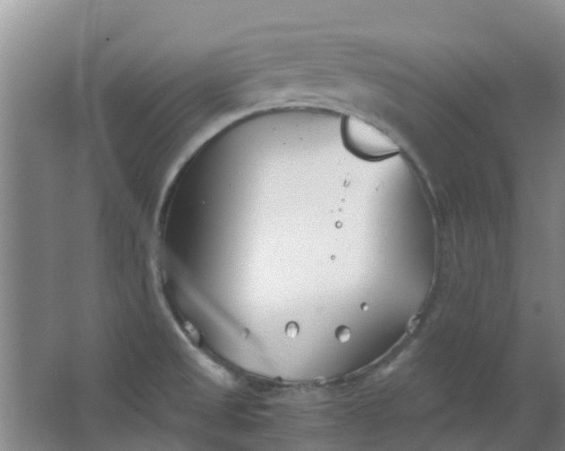 X0000063521525200602032057