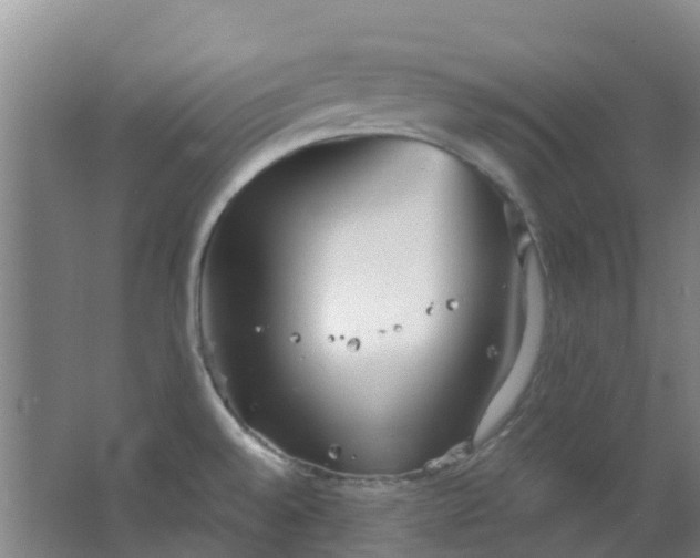 X0000063521528200602032057