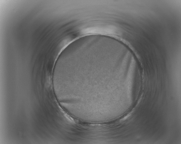 X0000063521529200602032057