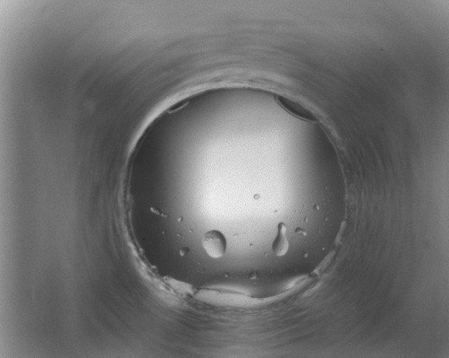 X0000063521530200602032057