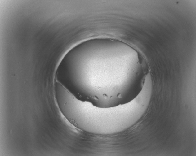 X0000063521532200602032057