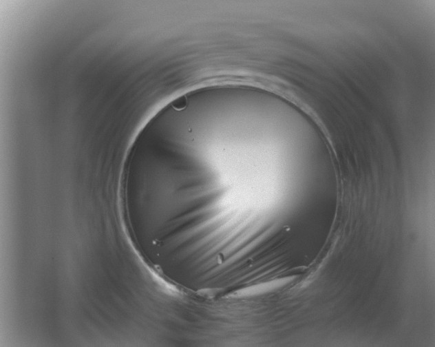 X0000063521533200602032057