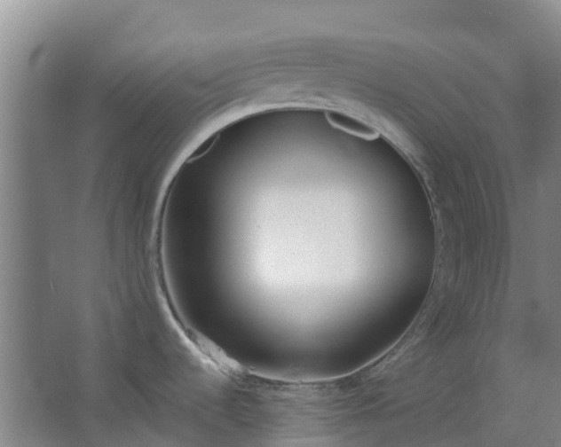 X0000063521536200602032057