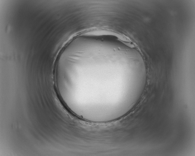 X0000063520002200602102003