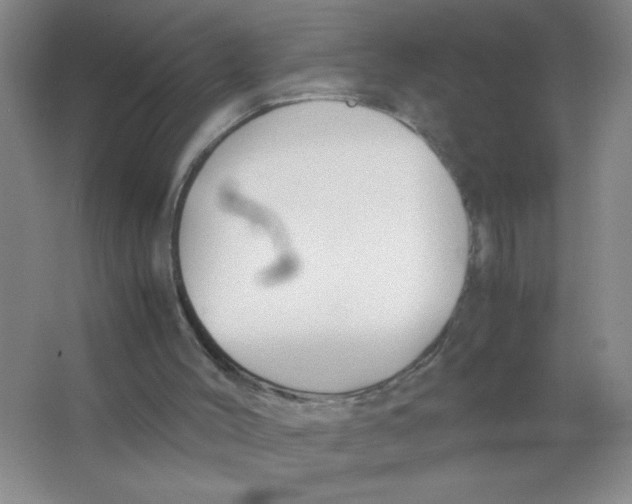 X0000063520004200602102003