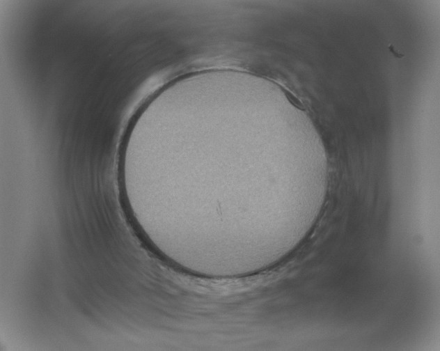 X0000063520006200602102003