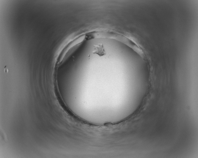 X0000063520007200602102003