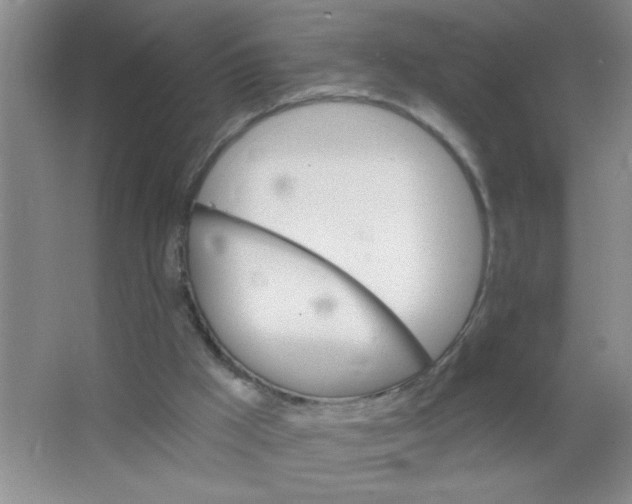 X0000063520009200602102003