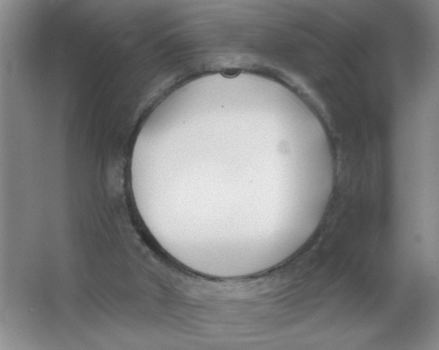 X0000063520010200602102003