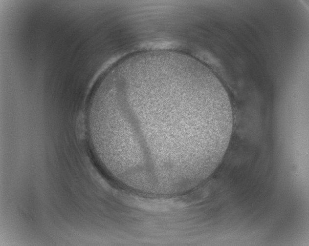 X0000063520012200602102003