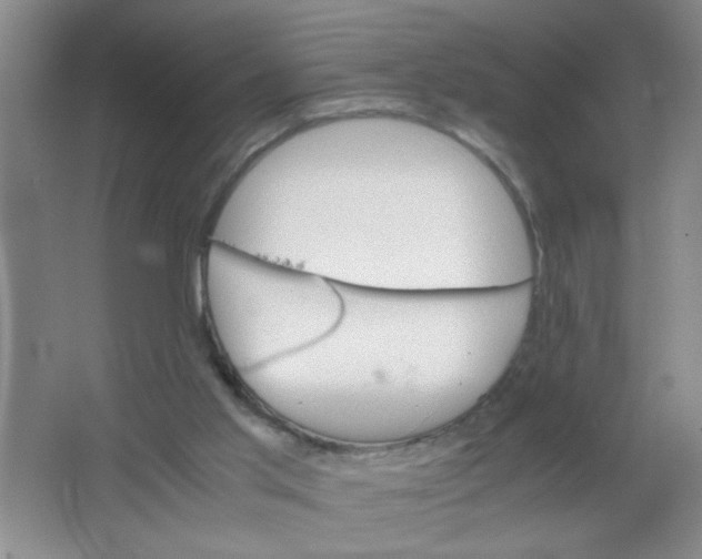 X0000063520013200602102003