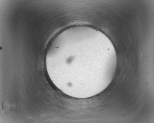 X0000063520015200602102003