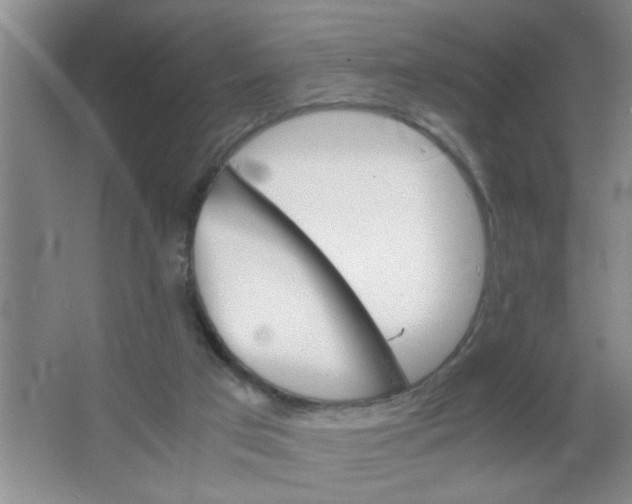 X0000063520017200602102003