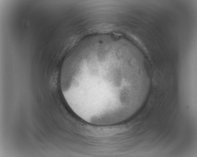 X0000063520018200602102003