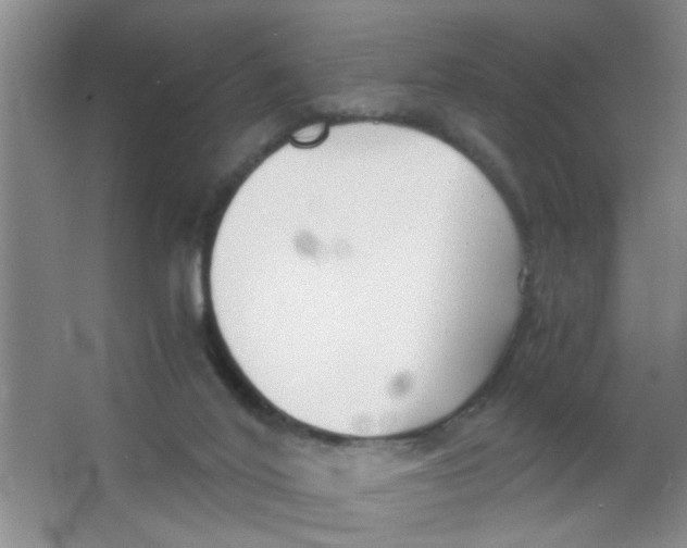 X0000063520020200602102003