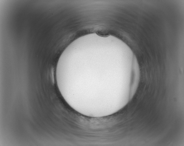 X0000063520022200602102003