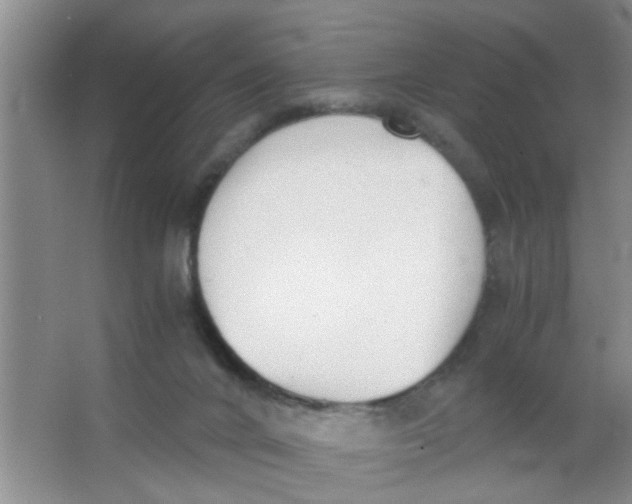 X0000063520024200602102003