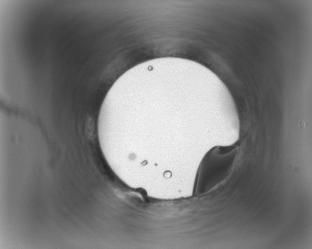 X0000063520025200602102003