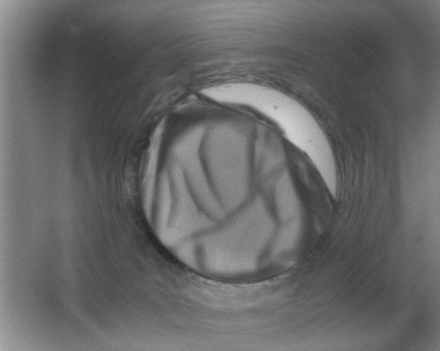 X0000063520035200602102003